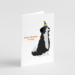 Happy Birthday Ya Dog Greeting Card | Henlo Pets