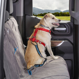 Kurgo Car Seatbelt Tether for Dogs | Henlo Pets
