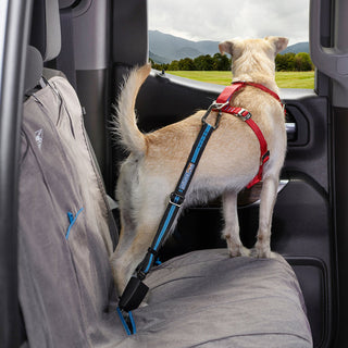 Kurgo Car Seatbelt Tether for Dogs | Henlo Pets