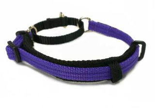 Black Dog Wear - Italian Greyhound Martingale Collar Purple | Henlo Pets