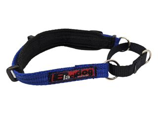 Black Dog Wear - Italian Greyhound Martingale Collar Blue | Henlo Pets