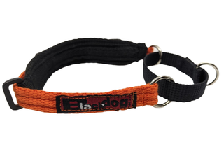 Black Dog Wear - Italian Greyhound Martingale Collar Orange | Henlo Pets