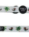 Pablo & Co - Coconut Island Leash - Henlo Pets