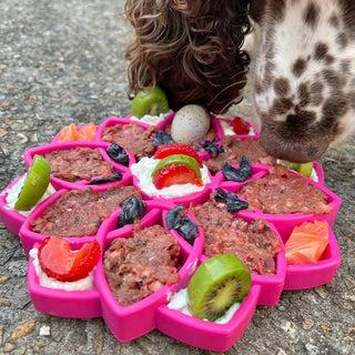 SodaPup Mandala eTray Slow Feeder Yellow | Henlo Pets