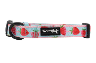 Sassy Woof Collar - I Woof You Berry Much | Henlo Pets