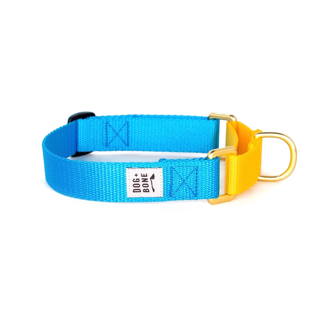 Dog + Bone - Martingale Collar Blue &amp; Yellow - Henlo Pets