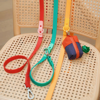 Approved by Fritz Orange Mango Leash | Henlo Pets