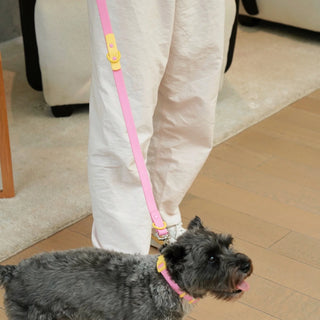 Approved by Fritz Pink Lemonade Leash | Henlo Pets