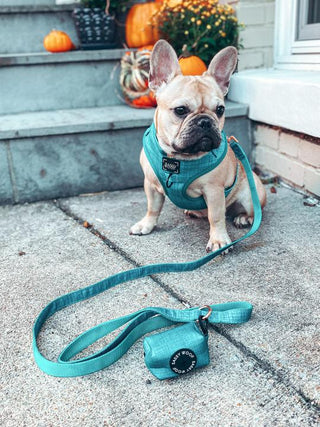 Sassy Woof Adjustable Harness - Napa | Henlo Pets