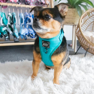 Sassy Woof Adjustable Harness - Napa | Henlo Pets