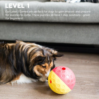Nina Ottosson Treat Tumble Ball Small | Henlo Pets