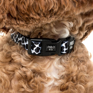 Pablo & Co Moo Moo Dog Collar | Henlo Pets