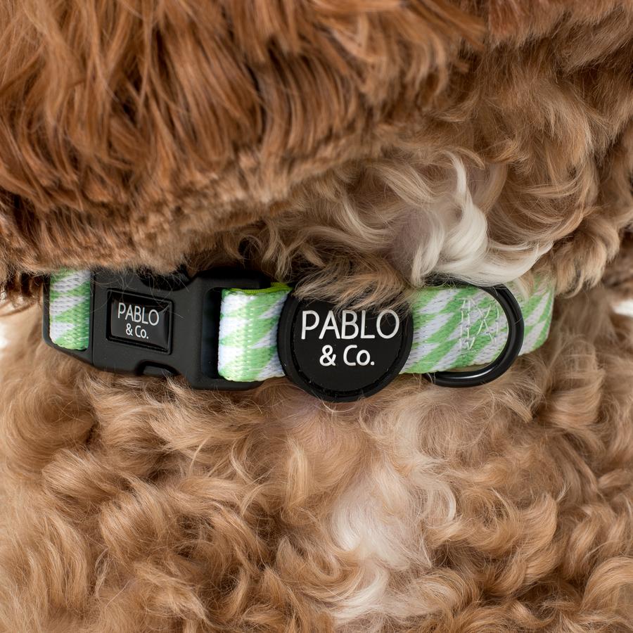 Pablo & Co - Lime Check Check Collar - Henlo Pets