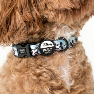 Pablo & Co The Original Mickey Mouse Dog Collar | Henlo Pets