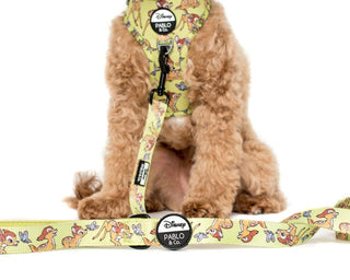 Pablo & Co Bambi & Butterflies Dog Leash | Henlo Pets