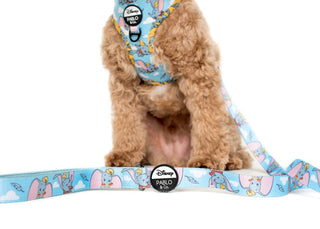 Pablo & Co Dumbo in the Clouds Dog Leash | Henlo Pets