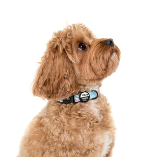 Pablo & Co Dumbo in the Clouds Dog Collar | Henlo Pets