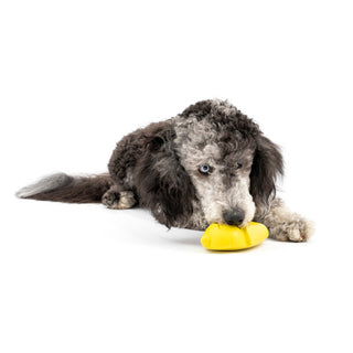 PetSafe Frosty Cone Treat Dispenser Toy | Henlo Pets