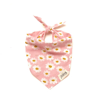 The Paws - Pink Daisy Chains | Henlo Pets