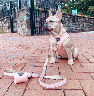 Sassy Woof Adjustable Harness - Pinot | Henlo Pets