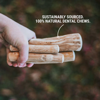 WAG - Coffee Wood Chews | Henlo Pets