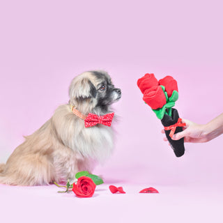 Zippy Paws - Bouquet of Roses | Henlo Pets