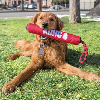 KONG Signature Stick with Rope Tug Dog Toy | Henlo Pets