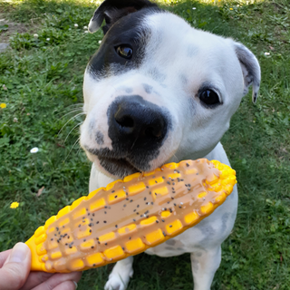 SodaPup Nylon Corn On the Cob | Henlo Pets