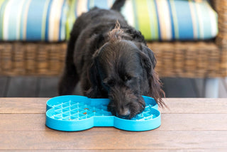 SloDog No Gulp Slow Food Plate - Bone Shape Blue | Henlo Pets