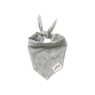 The Paws - Trail Bandana | Henlo Pets