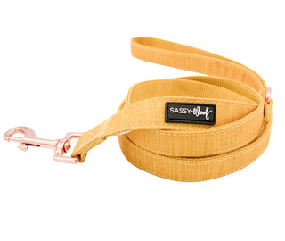 Sassy Woof Leash - Sunflower Fields | Henlo Pets