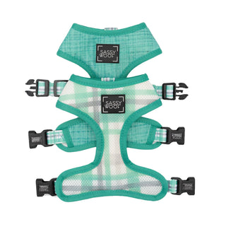 Sassy Woof Reversible Harness - Wag Your Teal | Henlo Pets