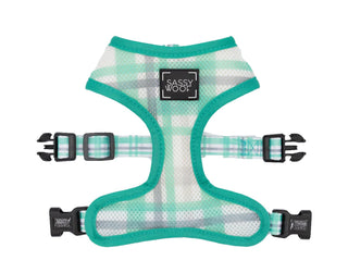 Sassy Woof Reversible Harness - Wag Your Teal | Henlo Pets