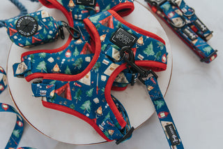 Sassy Woof Adjustable Harness - Woof Scout | Henlo Pets