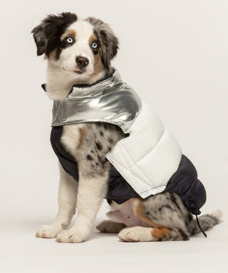 Fabdog Silver White & Navy Colour Block Puffer | Henlo Pets