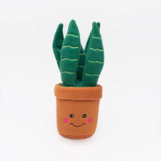 Zippy Paws - Snake Plant | Henlo Pets