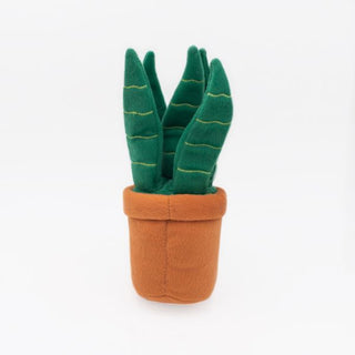 Zippy Paws - Snake Plant | Henlo Pets