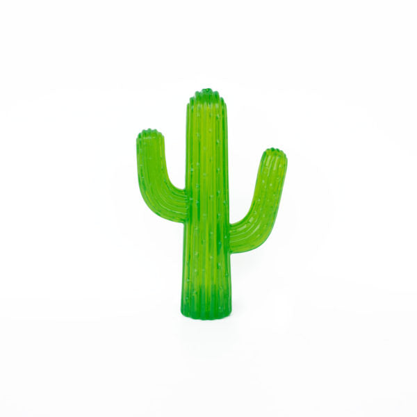 ZippyTuff Cactus - Henlo Pets