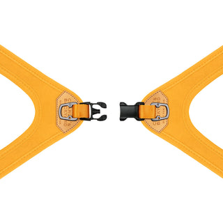 Charlie's Backyard Buckle Up Easy Harness Yellow | Henlo Pets