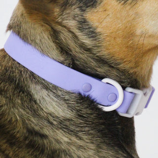 Approved by Fritz Lilac Grey Collar | Henlo Pets