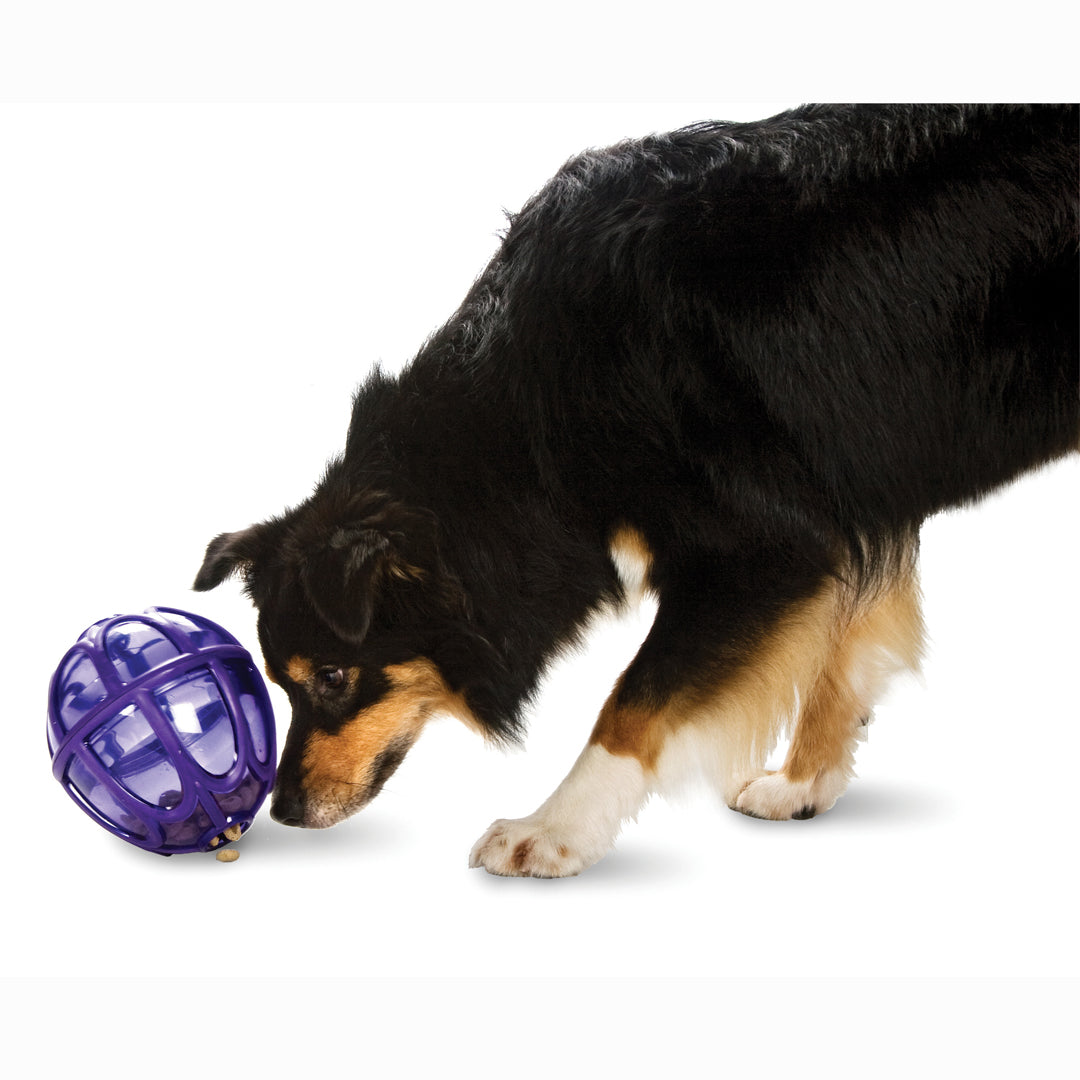 Busy buddy kibble hotsell nibble feeder ball
