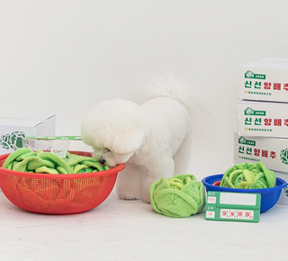 Bite Me Cabbage Nose Work Dog Toy | Henlo Pets