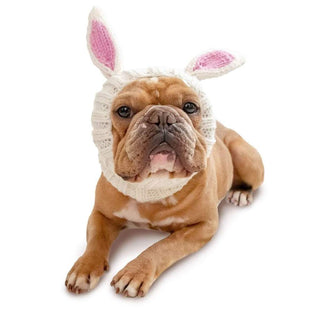 Zoo Snoods Bunny Rabbit Snood | Henlo Pets