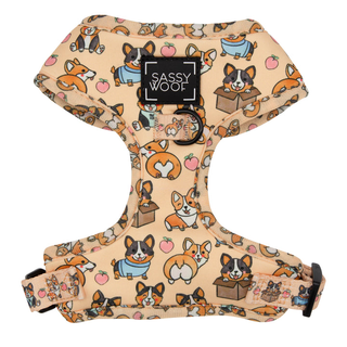 Sassy Woof Adjustable Harness - Corgilicious | Henlo Pets