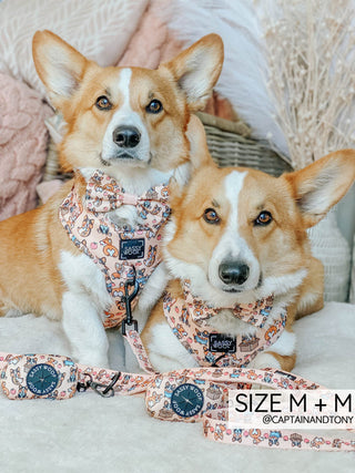 Sassy Woof Collar - Corgilicious | Henlo Pets