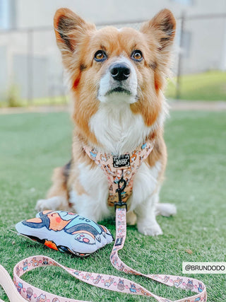 Sassy Woof Leash - Corgilicious | Henlo Pets