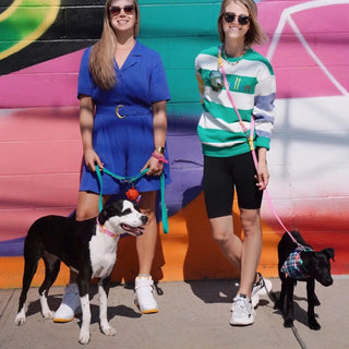 Approved by Fritz Pink Lemonade Collar | Henlo Pets