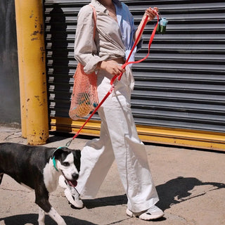 Approved by Fritz Cherry Leash | Henlo Pets