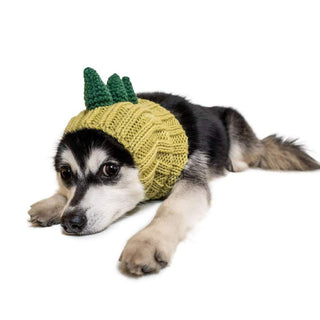Zoo Snoods Dinosaur Snood | Henlo Pets