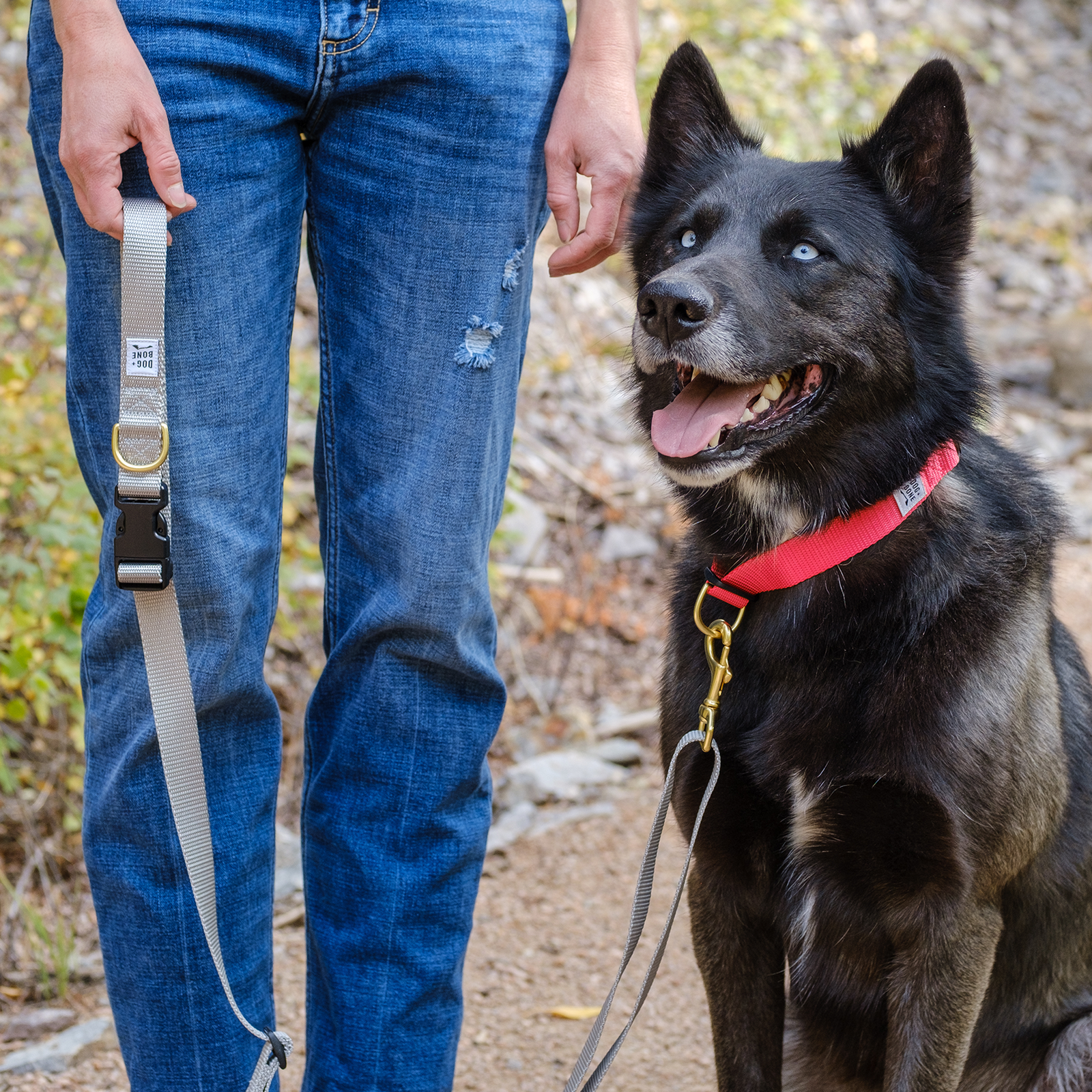 Dog + Bone Adjustable Leash - Silver - Henlo Pets